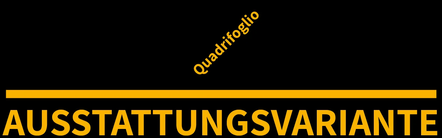 Ausstattungsvariante 1 von 1