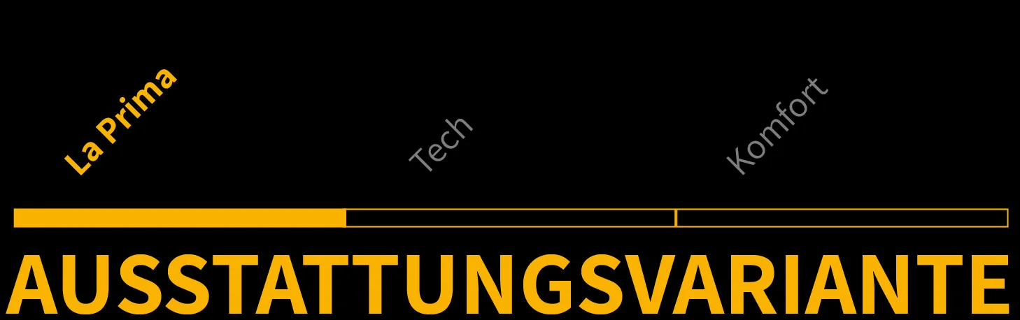 Ausstattungsvariante 1 von 3