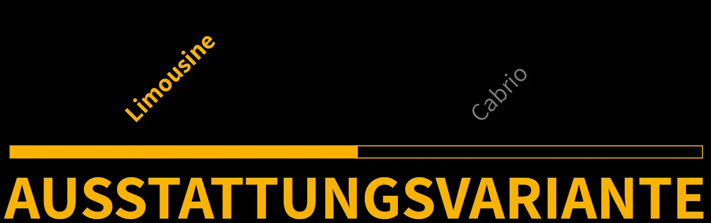 Ausstattungsvariante 1 von 1