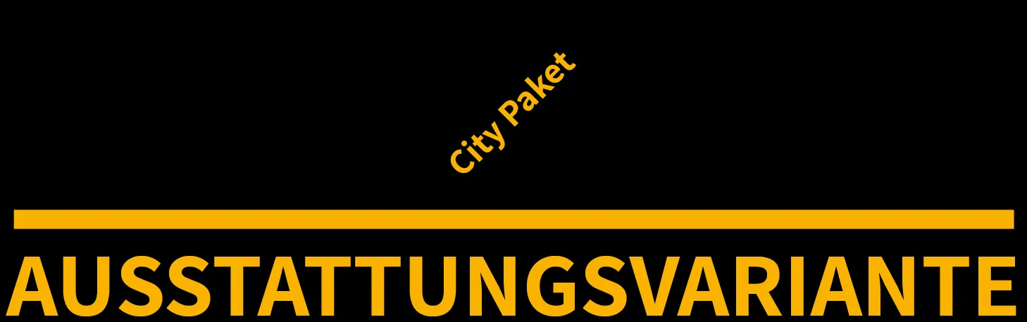 Ausstattungsvariante 1 von 1
