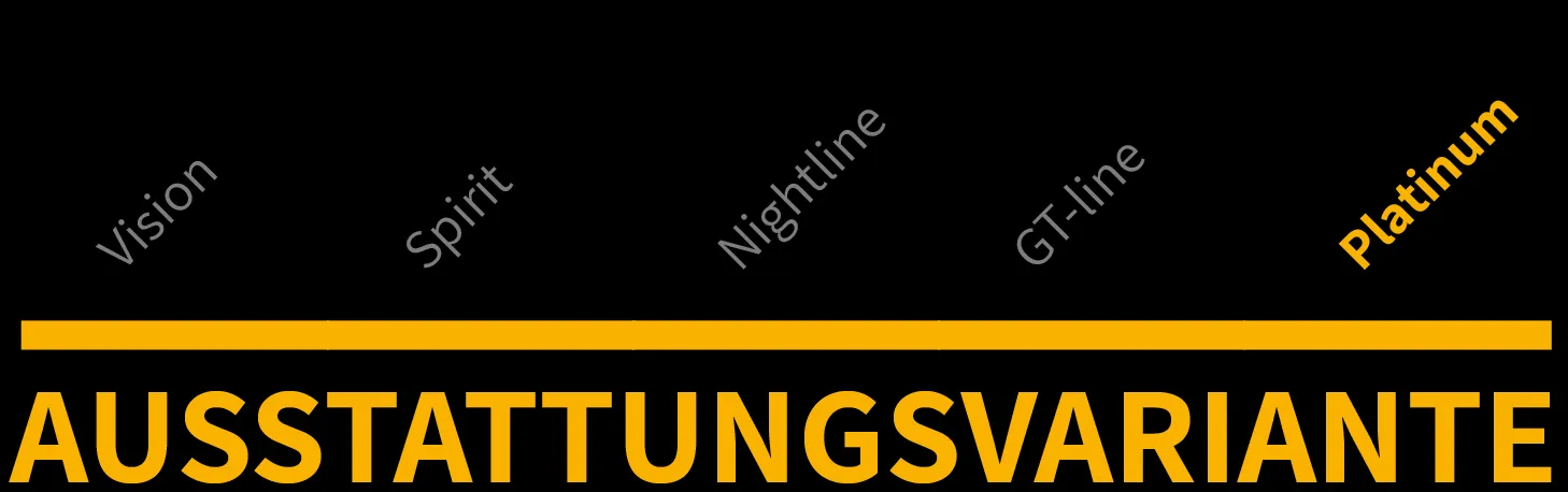 Ausstattungsvariante 5 von 5
