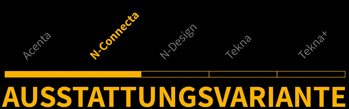 Qashqai Ausstattungsvariante 1 von 5