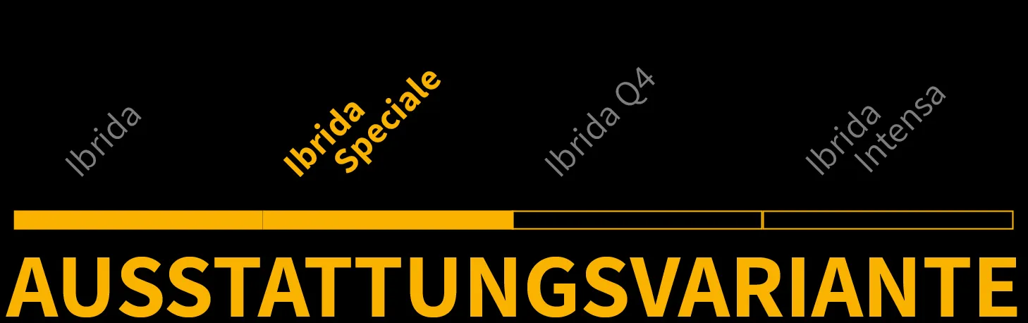 Ausstattungsvariante 1 von 3