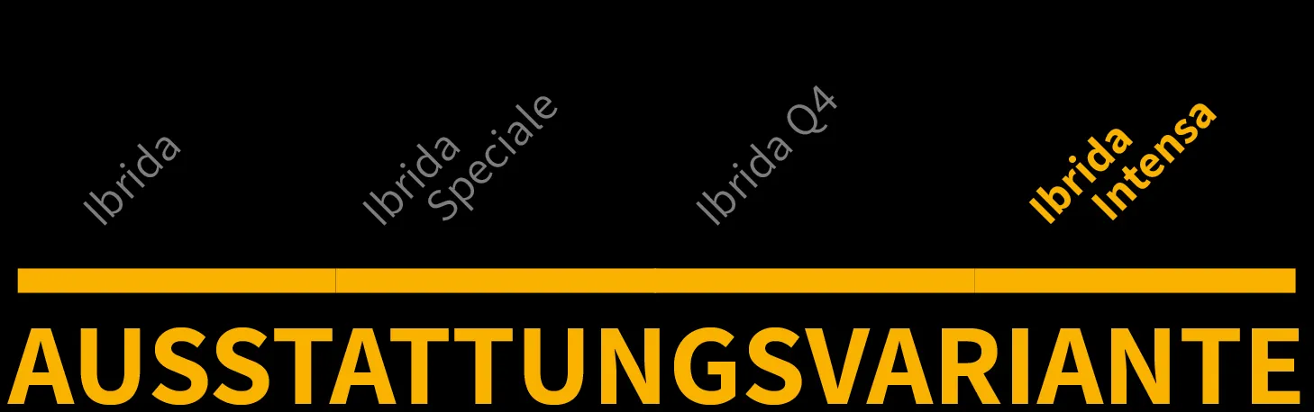 Ausstattungsvariante 1 von 3